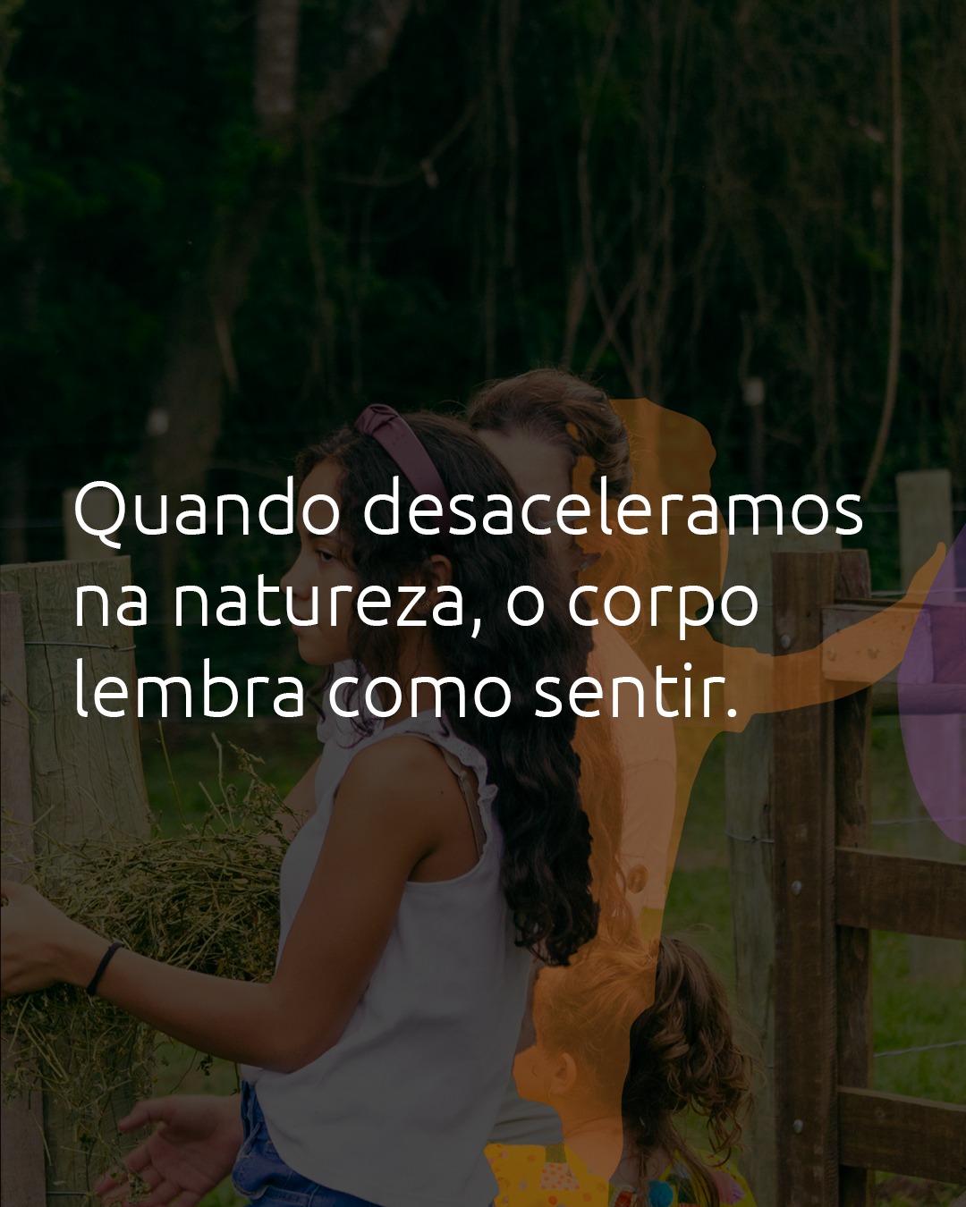 Como reaprender a sentir através do ambiente natural
