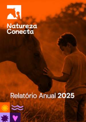 Relatório Anual 2025