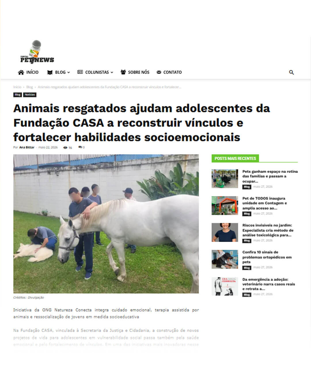 Reconstruindo vínculos através da conexão entre humanos e animais