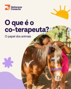 O que é o co-terapeuta?