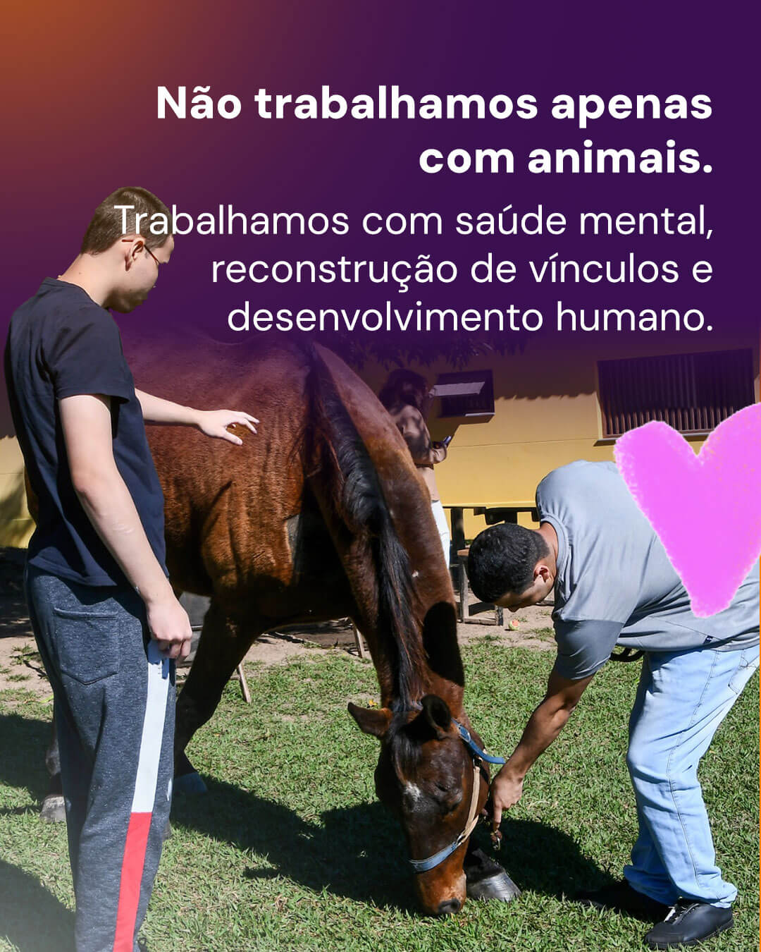 Animais resgatados ajudam na recuperação emocional de crianças e adolescentes em Itu