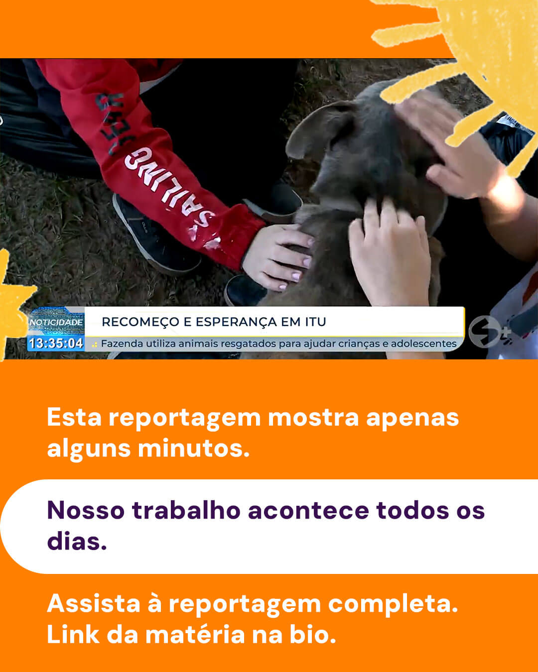 Animais resgatados ajudam na recuperação emocional de crianças e adolescentes em Itu